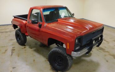 Chevrolet-Other-Pickups-1979-Red-Black-3174-11