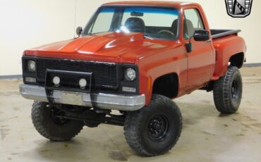 Chevrolet-Other-Pickups-1979-Red-Black-3174-2