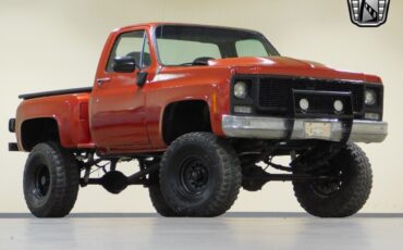 Chevrolet-Other-Pickups-1979-Red-Black-3174-6