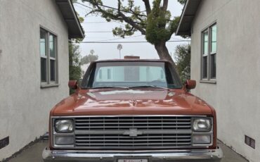 Chevrolet-Other-Pickups-1983-Brown-46671-1