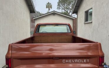 Chevrolet-Other-Pickups-1983-Brown-46671-5