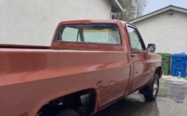 Chevrolet-Other-Pickups-1983-Brown-46671-6