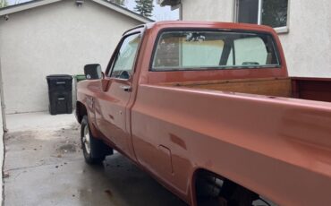 Chevrolet-Other-Pickups-1983-Brown-46671-7