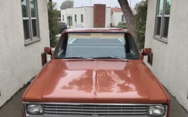 Chevrolet-Other-Pickups-1983-Brown-46671-8