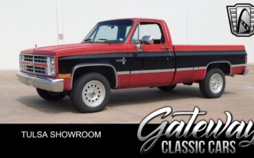 Chevrolet Other Pickups  1987