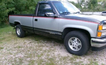 Chevrolet-Other-Pickups-1992-SLATE-SILVER-Gray-128871-1