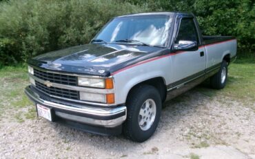 Chevrolet Other Pickups  1992