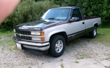 Chevrolet-Other-Pickups-1992-SLATE-SILVER-Gray-128871-6