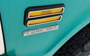 Chevrolet-Other-Pickups-Pickup-1970-Blue-Black-188029-10