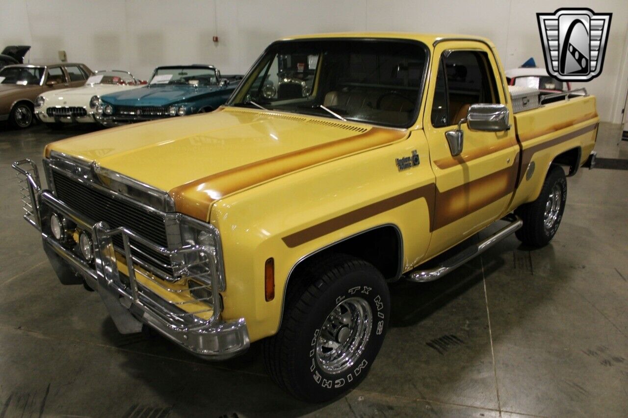 Chevrolet-Other-Pickups-Pickup-1978-Brown-Brown-78642-2