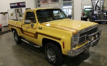 Chevrolet-Other-Pickups-Pickup-1978-Brown-Brown-78642-3