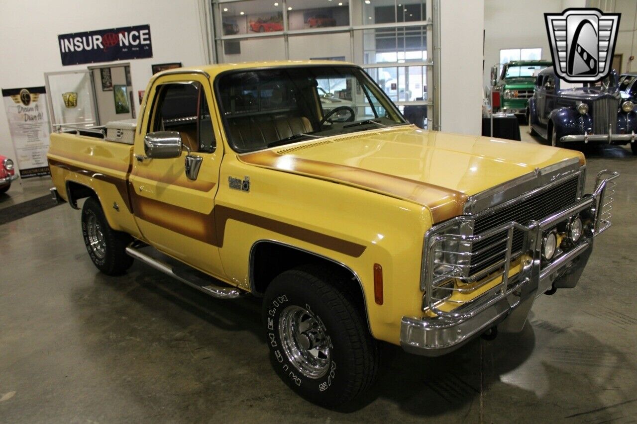 Chevrolet-Other-Pickups-Pickup-1978-Brown-Brown-78642-3