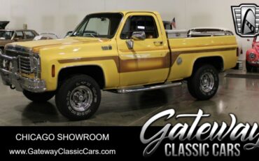 Chevrolet Other Pickups Pickup 1978