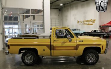 Chevrolet-Other-Pickups-Pickup-1978-Brown-Brown-78642-4