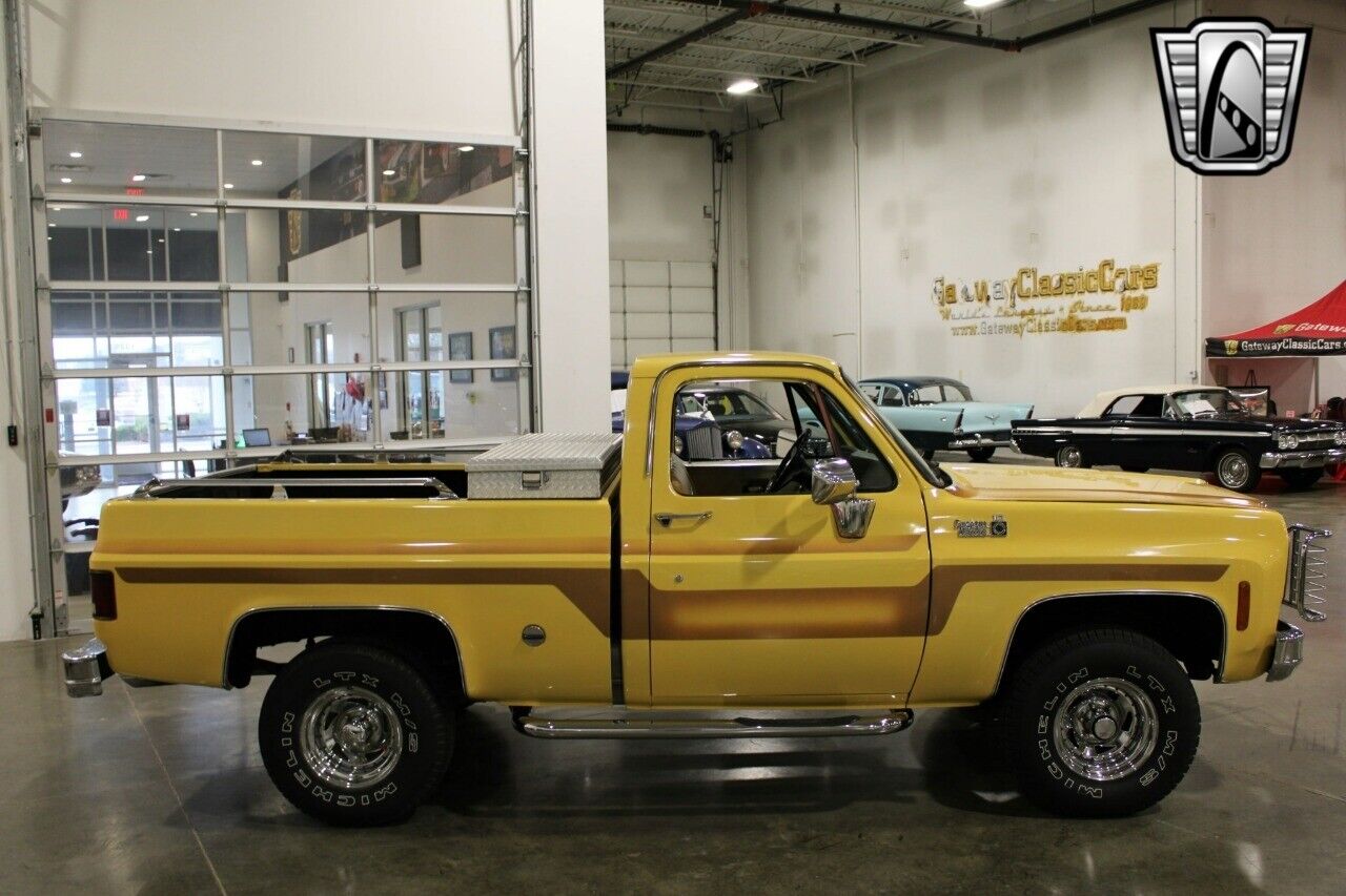 Chevrolet-Other-Pickups-Pickup-1978-Brown-Brown-78642-4