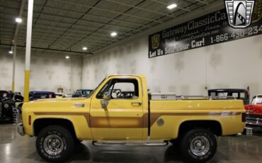 Chevrolet-Other-Pickups-Pickup-1978-Brown-Brown-78642-6