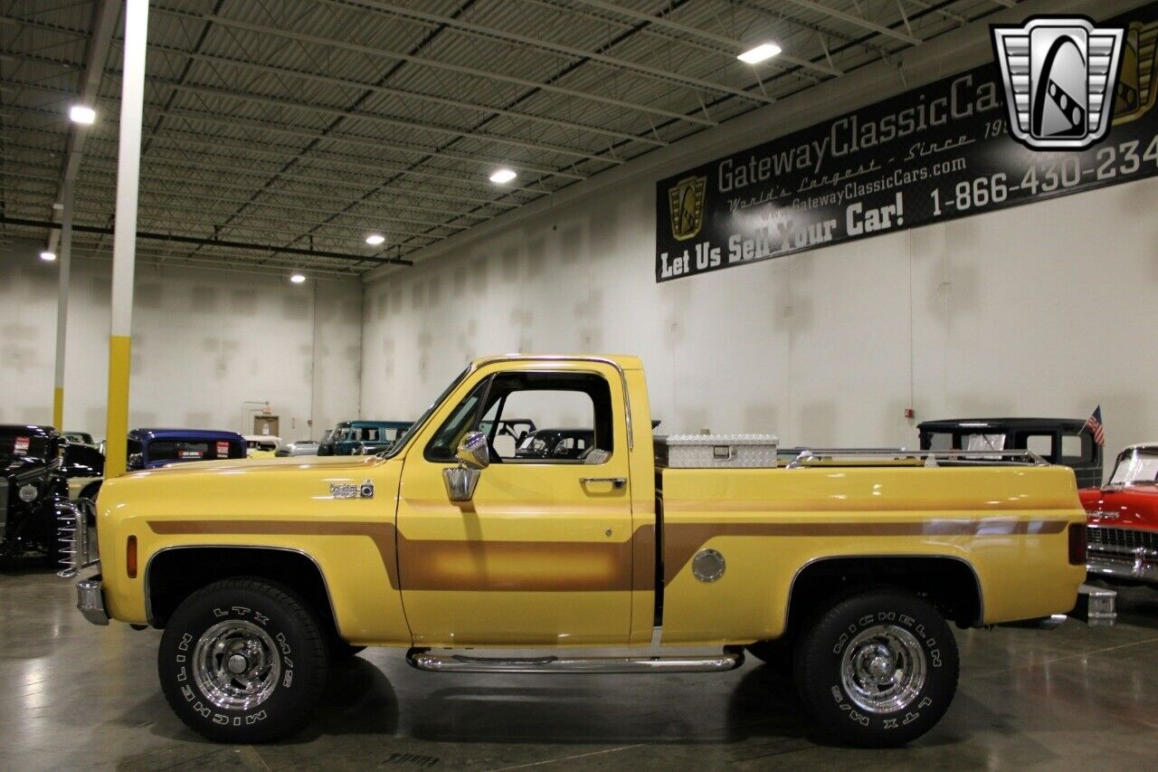 Chevrolet-Other-Pickups-Pickup-1978-Brown-Brown-78642-6