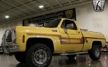 Chevrolet-Other-Pickups-Pickup-1978-Brown-Brown-78642-7