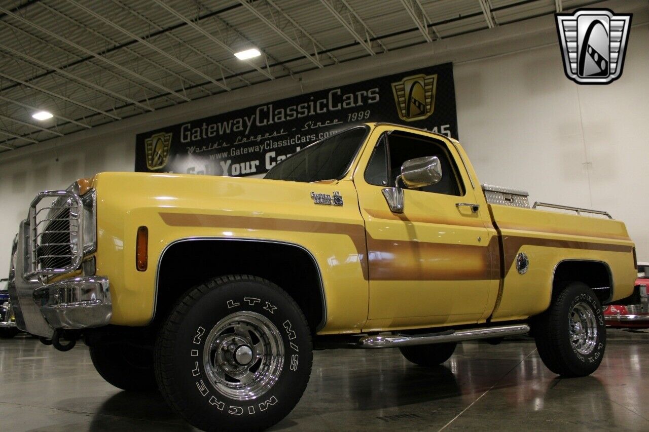 Chevrolet-Other-Pickups-Pickup-1978-Brown-Brown-78642-7