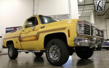 Chevrolet-Other-Pickups-Pickup-1978-Brown-Brown-78642-8