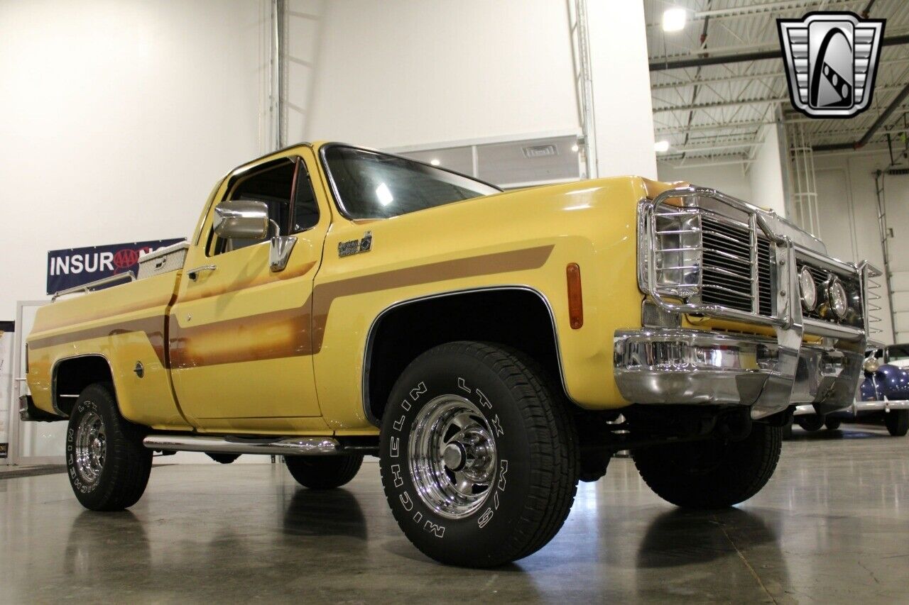 Chevrolet-Other-Pickups-Pickup-1978-Brown-Brown-78642-8