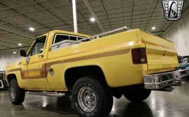 Chevrolet-Other-Pickups-Pickup-1978-Brown-Brown-78642-9