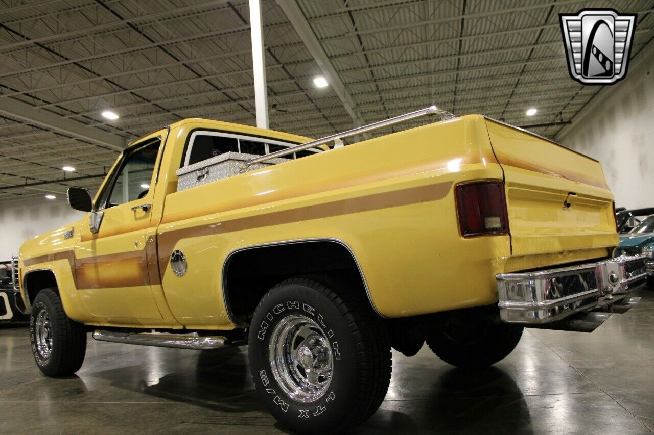 Chevrolet-Other-Pickups-Pickup-1978-Brown-Brown-78642-9