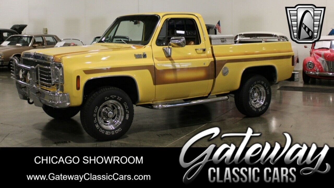 Chevrolet Other Pickups Pickup 1978