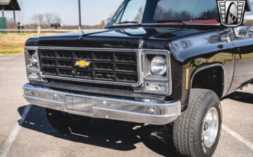 Chevrolet-Other-Pickups-Pickup-1979-Black-Black-28551-10