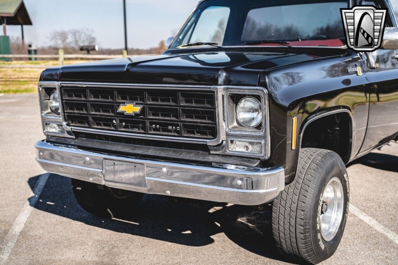 Chevrolet-Other-Pickups-Pickup-1979-Black-Black-28551-10