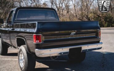 Chevrolet-Other-Pickups-Pickup-1979-Black-Black-28551-11