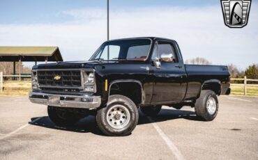 Chevrolet-Other-Pickups-Pickup-1979-Black-Black-28551-2