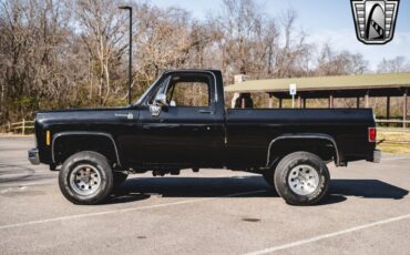 Chevrolet-Other-Pickups-Pickup-1979-Black-Black-28551-3