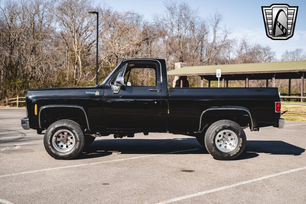 Chevrolet-Other-Pickups-Pickup-1979-Black-Black-28551-3