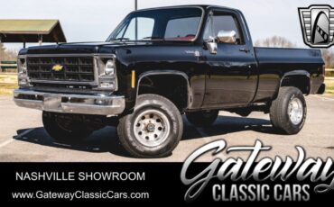 Chevrolet Other Pickups Pickup 1979