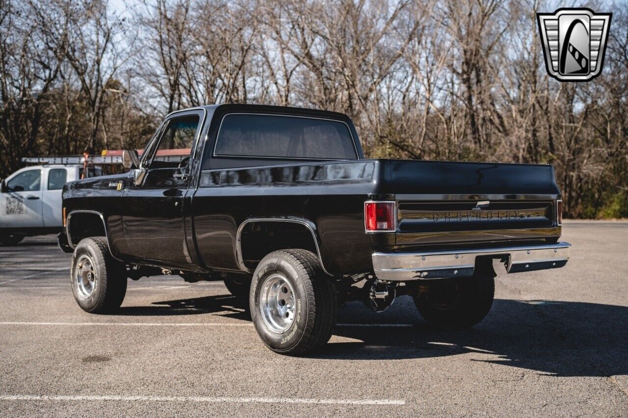 Chevrolet-Other-Pickups-Pickup-1979-Black-Black-28551-4