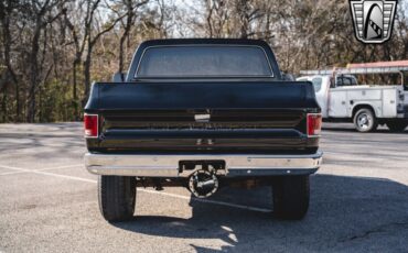 Chevrolet-Other-Pickups-Pickup-1979-Black-Black-28551-5