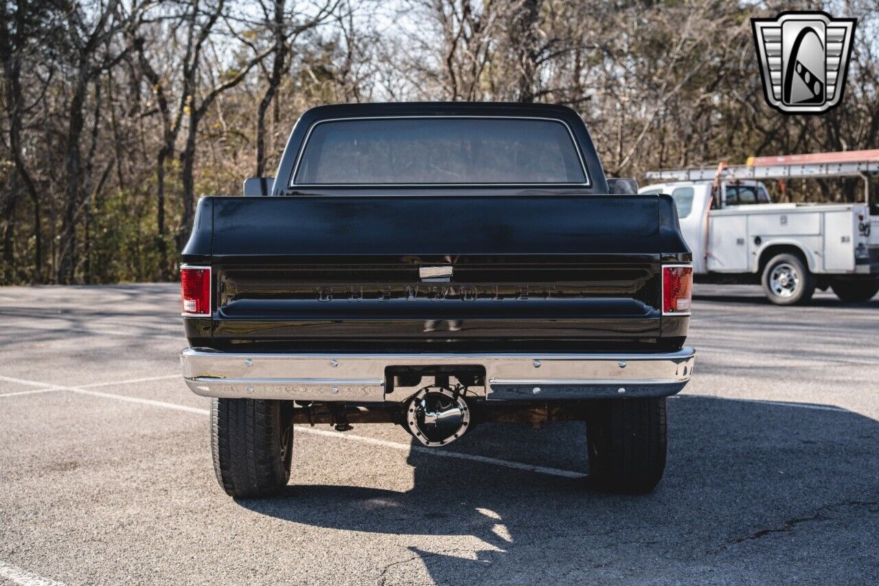 Chevrolet-Other-Pickups-Pickup-1979-Black-Black-28551-5