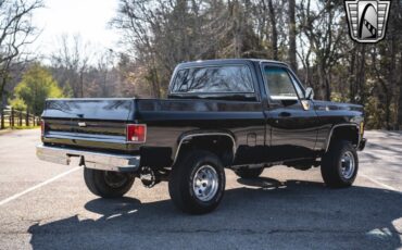 Chevrolet-Other-Pickups-Pickup-1979-Black-Black-28551-6