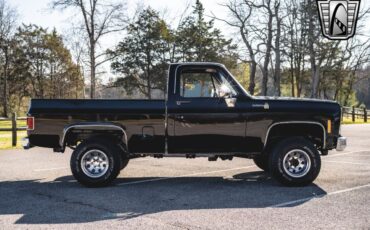 Chevrolet-Other-Pickups-Pickup-1979-Black-Black-28551-7