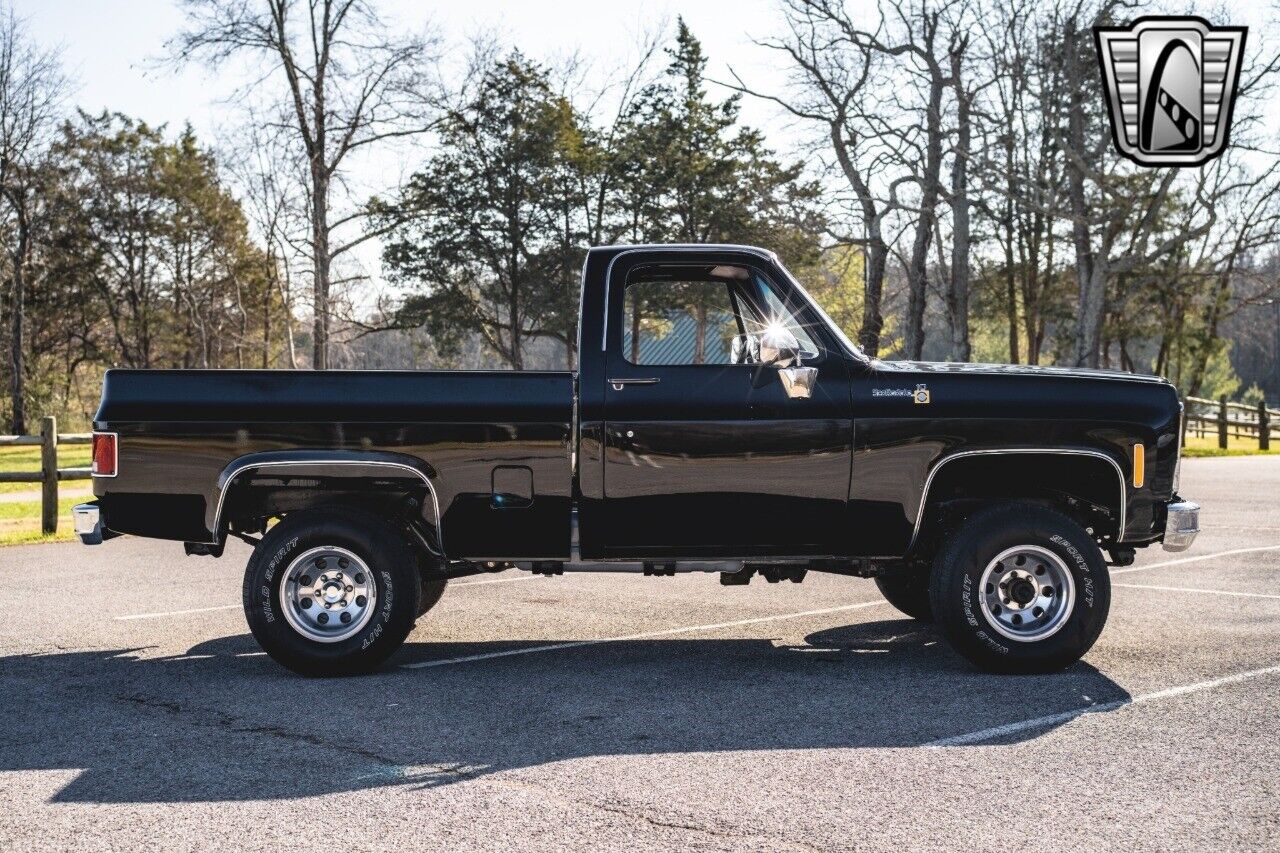 Chevrolet-Other-Pickups-Pickup-1979-Black-Black-28551-7