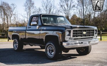 Chevrolet-Other-Pickups-Pickup-1979-Black-Black-28551-8