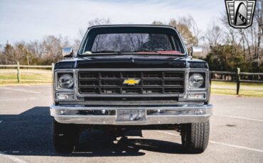 Chevrolet-Other-Pickups-Pickup-1979-Black-Black-28551-9