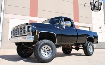 Chevrolet-Other-Pickups-Pickup-1979-Black-Black-7783-2