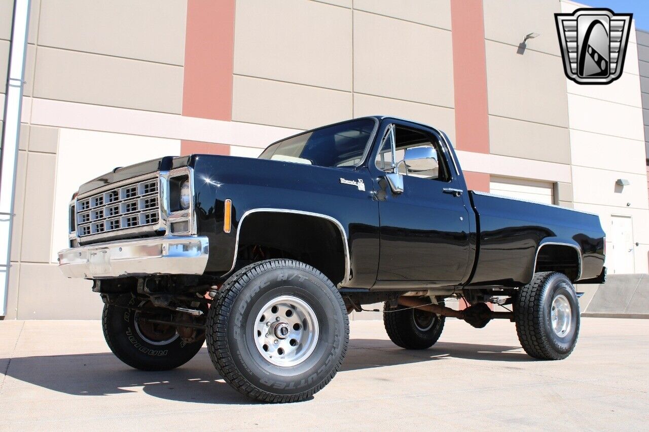 Chevrolet-Other-Pickups-Pickup-1979-Black-Black-7783-2