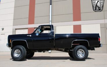 Chevrolet-Other-Pickups-Pickup-1979-Black-Black-7783-3