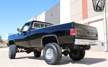 Chevrolet-Other-Pickups-Pickup-1979-Black-Black-7783-4