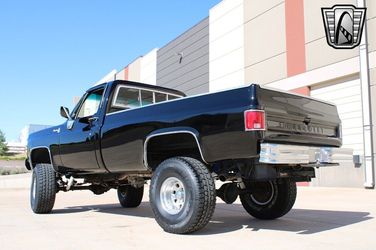 Chevrolet-Other-Pickups-Pickup-1979-Black-Black-7783-4