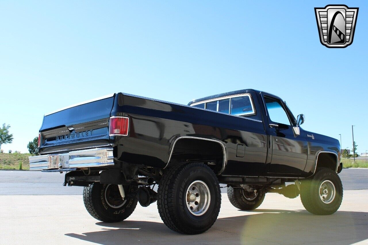 Chevrolet-Other-Pickups-Pickup-1979-Black-Black-7783-6