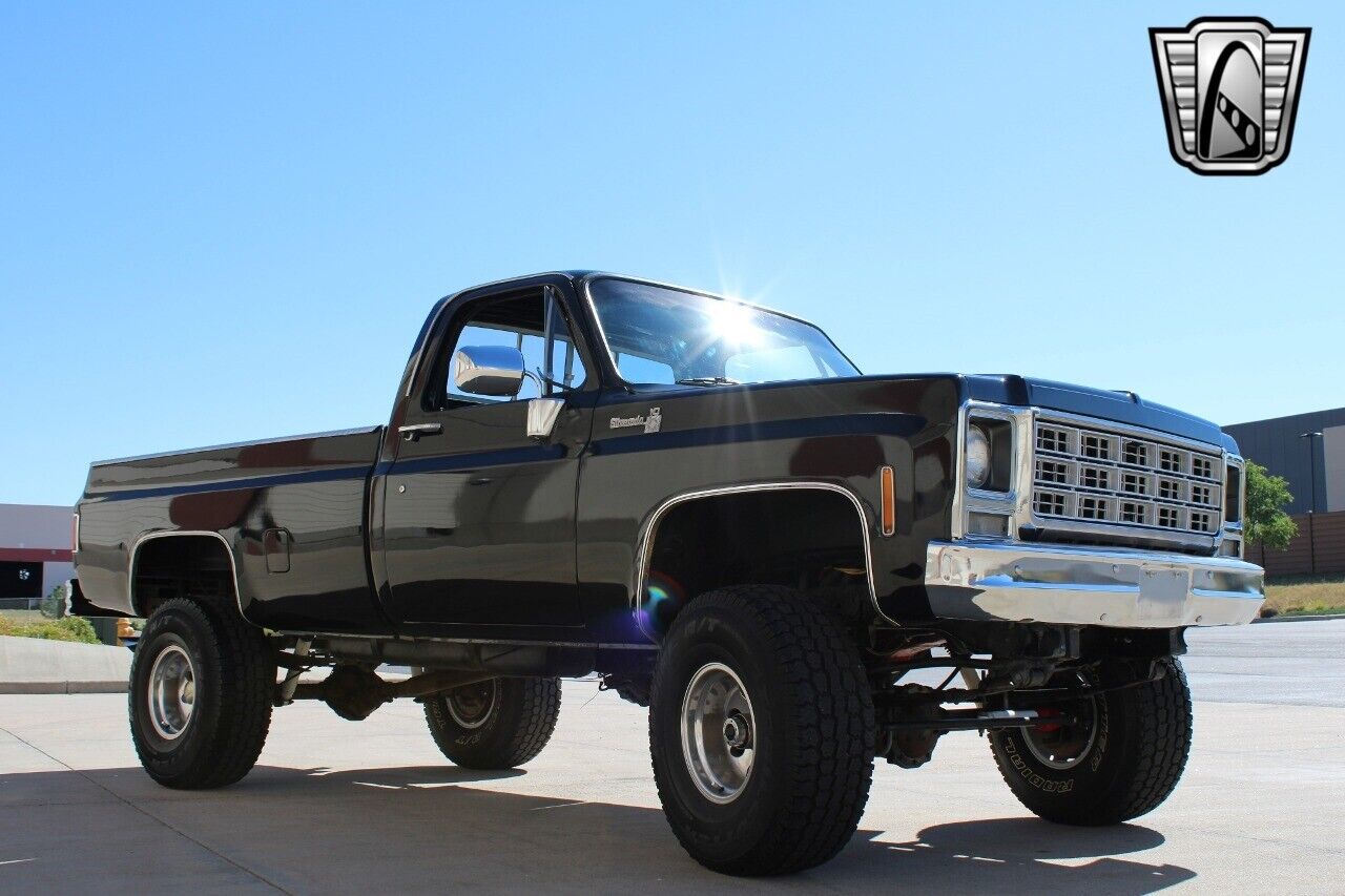 Chevrolet-Other-Pickups-Pickup-1979-Black-Black-7783-8